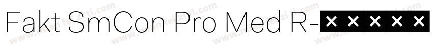 Fakt SmCon Pro Med R字体转换